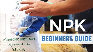 A Beginners Guide NPK in Hydroponics [upl. by Sophey128]