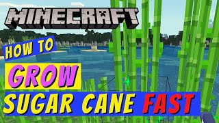 Minecraft How to Grow Sugar Cane Fast [upl. by Cass744]