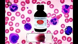 Blood Smear Preparation amp Staining [upl. by Naghem]