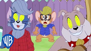 Tom amp Jerry  Tom Becomes Cool  WB Kids [upl. by Akayas]