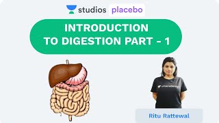 Introduction  Digestion Part 1  Human Physiology PremedicalNEETAIIMS  NEET 2020 [upl. by Isyed]