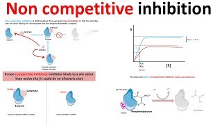 Noncompetitive inhibition derivation and physiological contex [upl. by Eliathas]