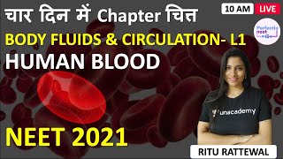 L1 Human Blood Body Fluids and Circulation  4 Din me Chapter Chitt  NEET 2021  Ritu Rattewal [upl. by Gav]