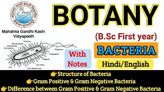 BSC First Year Botany  Botany First PaperStructure of BacteriaGram Ve amp Gram Ve Bacteria [upl. by Htaras]