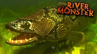 River Monster SnakeHead  Feed And Grow  Ep8 [upl. by Tasha]