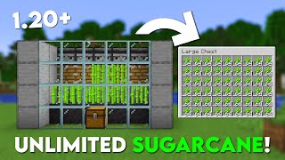 Minecraft EASIEST Sugarcane Farm Tutorial  AFK  121 [upl. by Blisse249]