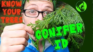 Know Your Trees  Conifer Identification [upl. by Dieter]