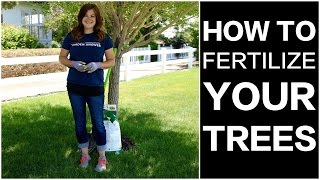 How to Fertilize Trees [upl. by Uaerraj]