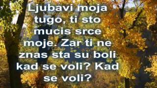 TOZOVAC Predrag Zivkovic JESEN U MOM SOKAKU [upl. by Eirrahs]