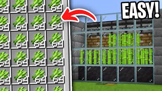 Sugarcane Farm Minecraft 121 JAVA amp BEDROCK [upl. by Ahseinek]