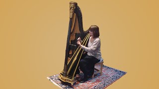 Introducing Mozarts Single Action Pedal Harp [upl. by Assillem829]