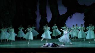 Evgenia Obraztsova Vladimir Shklyarov Ondine ballet 1 [upl. by Wyler]