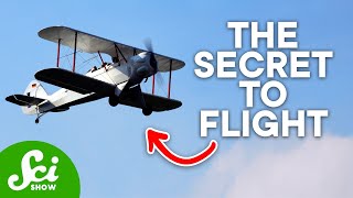 How the Wright Brothers Changed Everything We Know About Flying [upl. by Klusek]