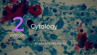 Cytology [upl. by Anyel473]