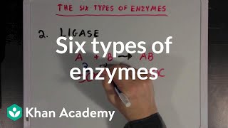 Six types of enzymes  Chemical Processes  MCAT  Khan Academy [upl. by Egidius]