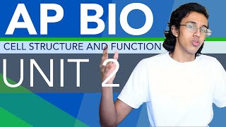 AP Biology Unit 2 Review Cell Structure and Function [upl. by Robert]