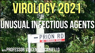 Virology Lectures 2021 24  Unusual Infectious Agents [upl. by Nylaehs]