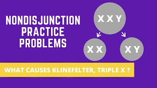 NONDISJUNCTION PRACTICE PROBLEMS KLINEFELTER SYNDROME TRIPLE X SYNDROME [upl. by Cleopatra]