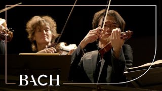 Bach  Orchestral Suite no 1 in C major BWV 1066  Sato  Netherlands Bach Society [upl. by Eedyah350]