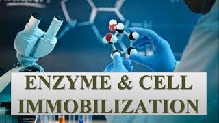 ENZYME amp CELL IMMOBILIZATION [upl. by Roswell652]