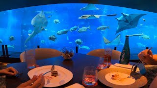 Fine Dining at Ocean Restaurant [upl. by Wagshul738]