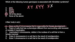 Klinefelter syndrome and Barr body explained [upl. by Nitsed]