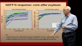 How to Properly Apply Nitrogen Fertilizer [upl. by Otxilac]