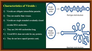 Viroids [upl. by Ewall]