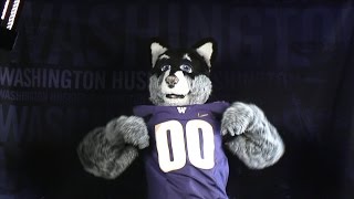 Washingtons Harry the Husky takes the Mascot Challenge [upl. by Deraj219]