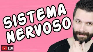 SISTEMA NERVOSO  FISIOLOGIA  Aula  Biologia com Samuel Cunha [upl. by Nehtiek809]