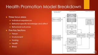 Nola Pender Health Promotion Model [upl. by Irehc998]