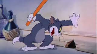 Tom Cats Pursuits of Jerry Mouse [upl. by Polito]