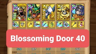 Blossoming Door 40  Dragon Quest Tact [upl. by Evey320]