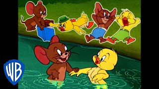 Tom amp Jerry  Best of Jerry and Little Quacker  Classic Cartoon Compilation  WB Kids [upl. by Enyrehtac]