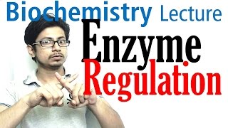 Enzyme regulation [upl. by Elbertina]