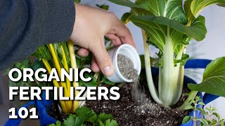 14 Organic Fertilizers and How to Use Them [upl. by Ekyt964]