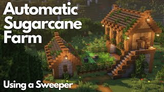 AUTOMATIC SUGARCANE FARM  Minecraft Tutorial  Java 121 [upl. by Darryl428]