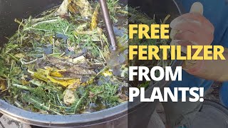 How to Make POWERFUL Fertilizer from ANY Plant [upl. by Iinden300]