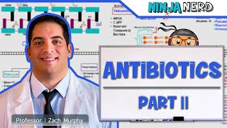 Antibiotics Folic Acid Pathway Inhibitors Part 2 [upl. by Agrippina]