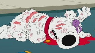 Family guy  Brian dies [upl. by Jacquetta]