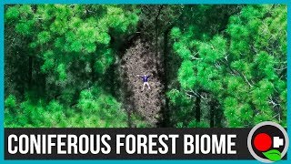 The Coniferous Forest Biome Explained [upl. by Luas]