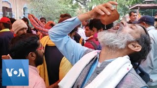 Hindu Activists Drink Cow Urine Amid Coronavirus Outbreak [upl. by Neffirg]