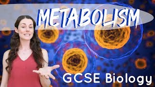 Metabolism  GCSE Biology [upl. by Une]