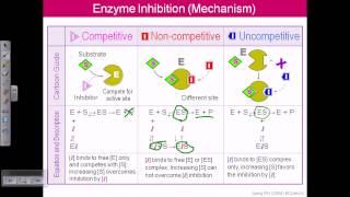 Enzyme inhibition [upl. by Lleznol]