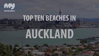 Top 10 Beaches in Auckland [upl. by Annawahs]