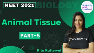 Animal Tissue  Part 5  NEET 2021  NEET Biology  Ritu Rattewal [upl. by Mairhpe190]