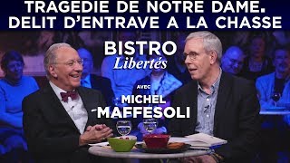 Bistro Libertés avec Michel Maffesoli [upl. by Grail]