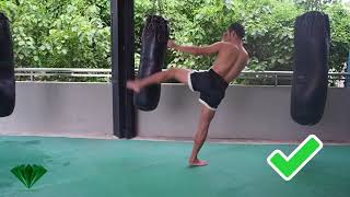 Muay Thai  How to throw a Kick [upl. by Eyaj]