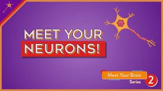 Meet Your Neurons  Lesson 2 [upl. by Pellet453]