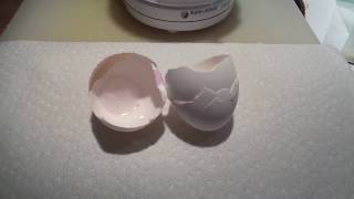 Natural Eggshell Membrane  NEM  preparing eggshells  recipe [upl. by Mcmaster311]